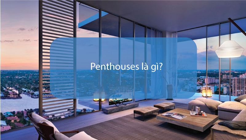 Penthouse là gì? Ưu Nhược Điểm Của Căn Hộ Penthouse