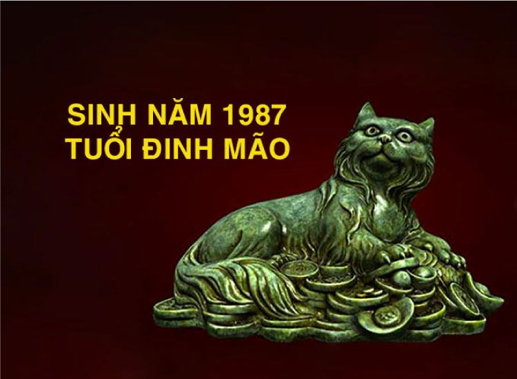 Người sinh vào năm 1987 sẽ mang tuổi Đinh Mão (tức tuổi con mèo)