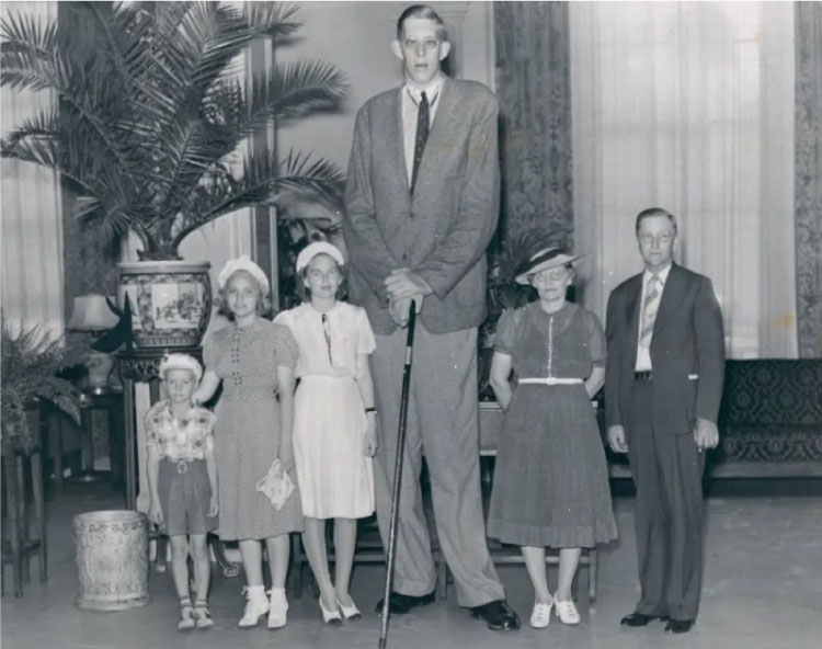 Robert Wadlow với Chiều cao 272cm