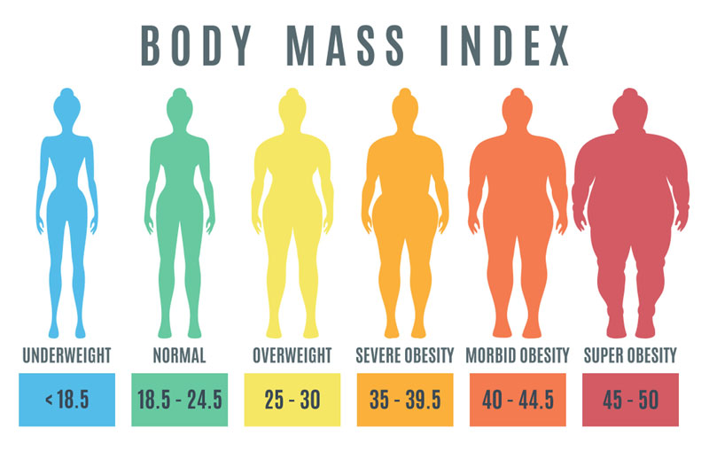 Thông tin về chỉ số BMI